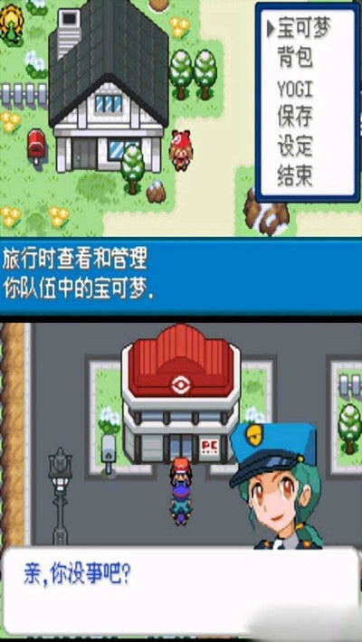 去吧洛奇亞