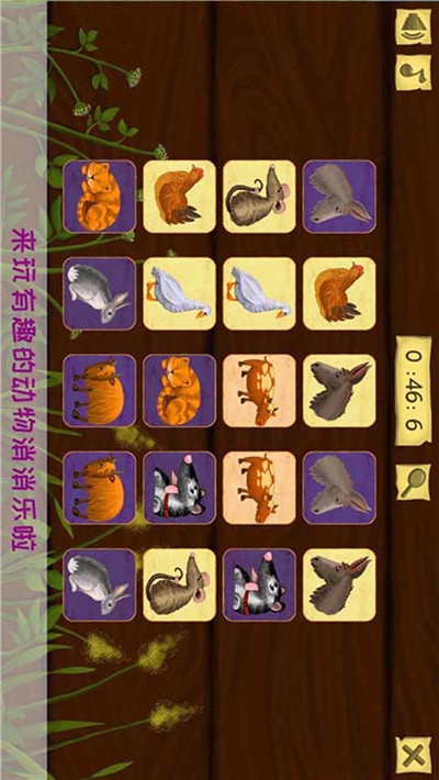 托卡小鎮(zhèn)動物樂園