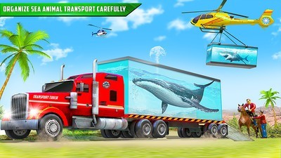鯊魚運輸車