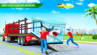 鯊魚運輸車