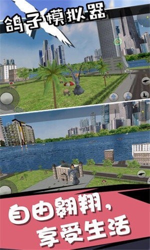 鴿子模擬器2020