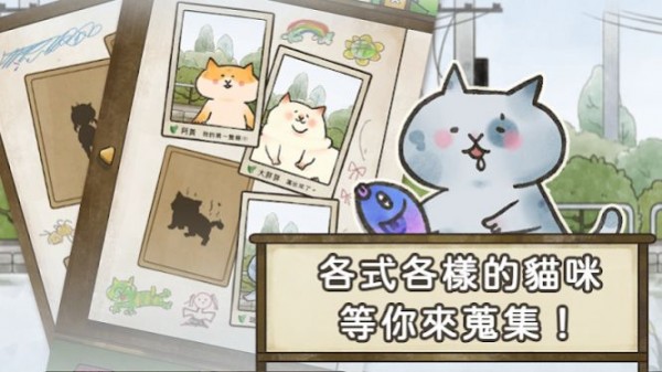 貓箱物語