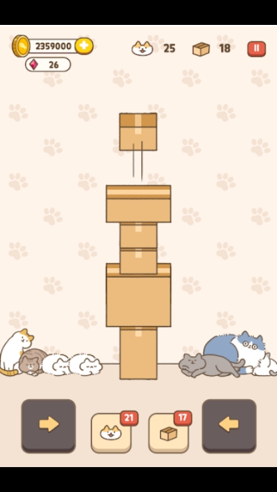 貓窩紙箱