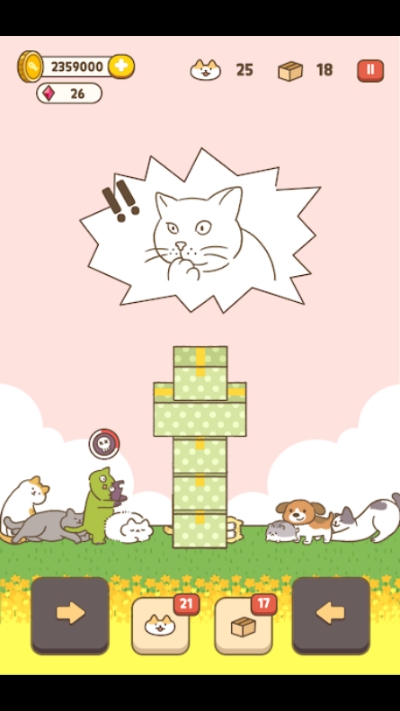 貓窩紙箱