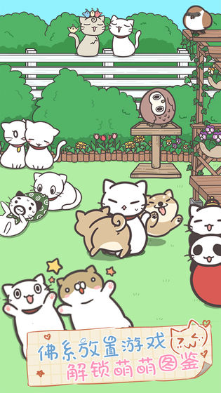 貓咪飼養日常 無限金幣版