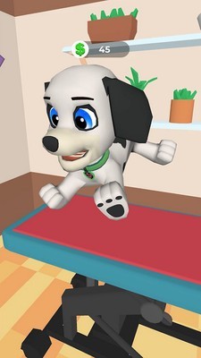 狗狗美容護(hù)理