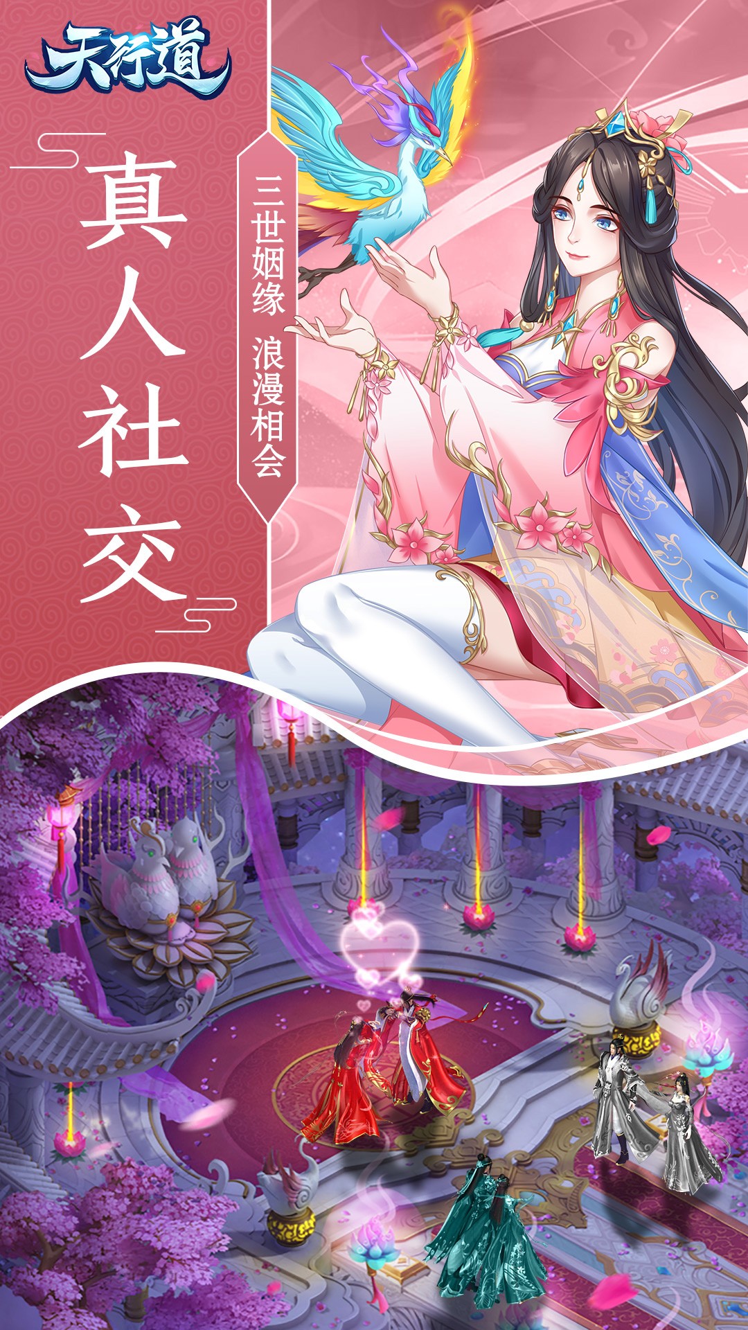 天行道果盤版
