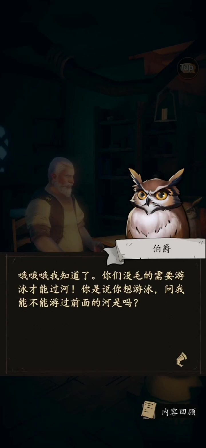 貓頭鷹和燈塔