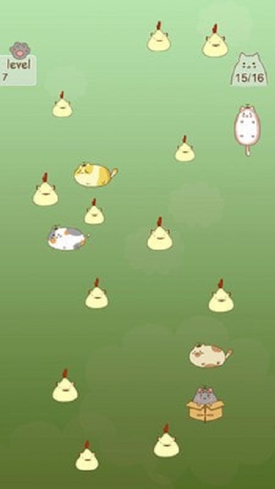 抓住流浪貓
