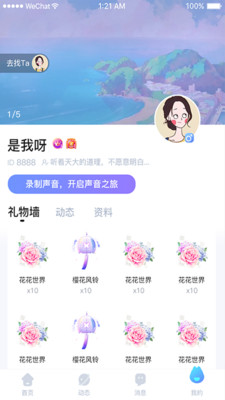頑皮