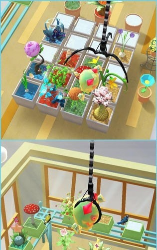 小小陽臺植物樂園