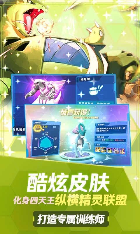 口袋高手究極進化