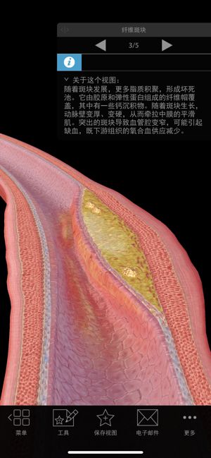 生理和病理學(xué)