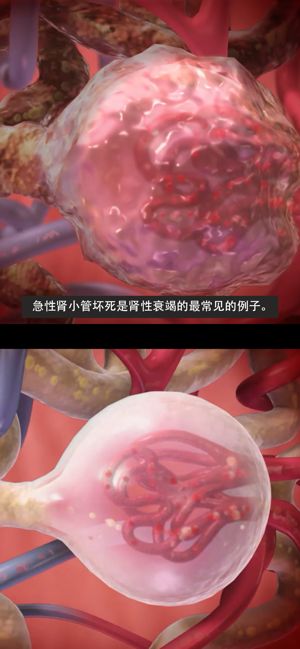 生理和病理學(xué)