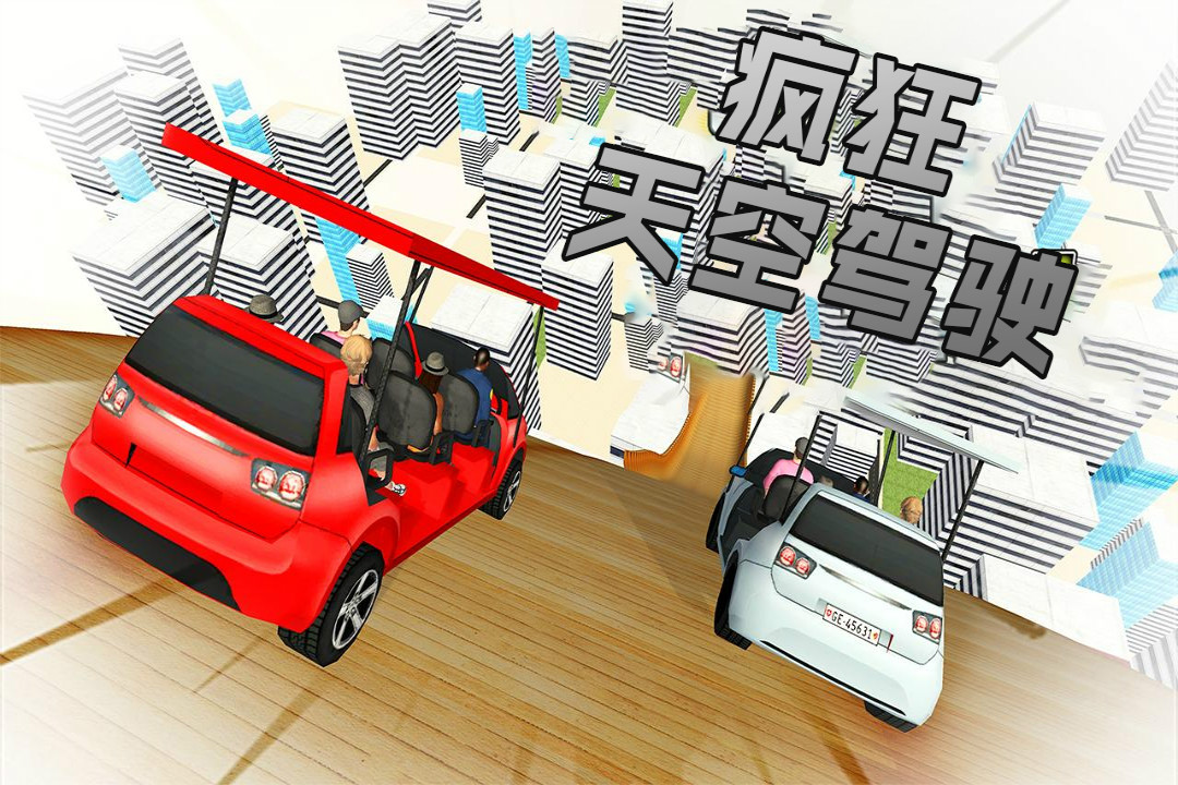 瘋狂天空駕駛