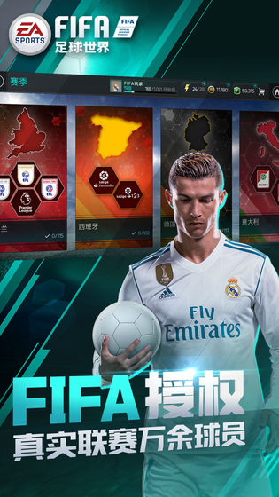 FIFA足球世界 果盤版
