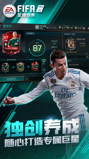 FIFA足球世界 果盤版
