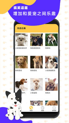 貓狗翻譯神器