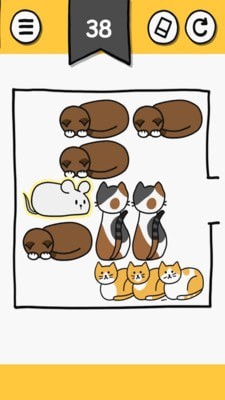 貓塊難題