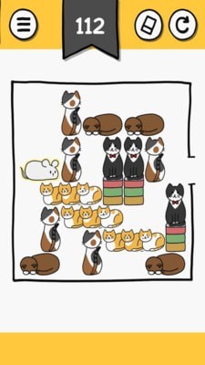 貓塊難題