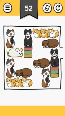 貓塊難題