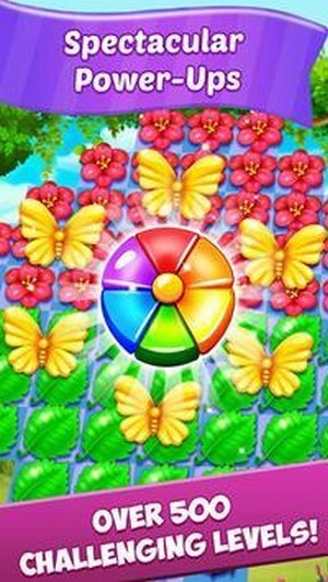 花兒比賽3