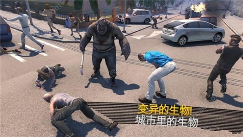 戰(zhàn)狗