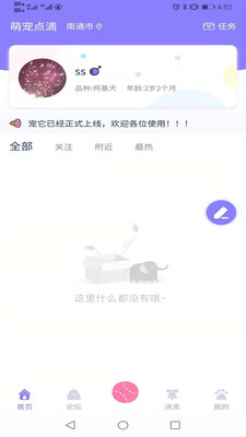 寵它