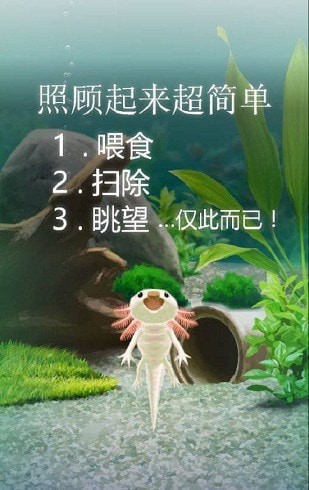 治愈的蠑螈育成
