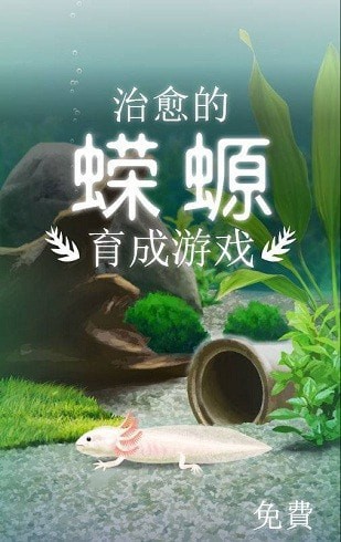 治愈的蠑螈育成