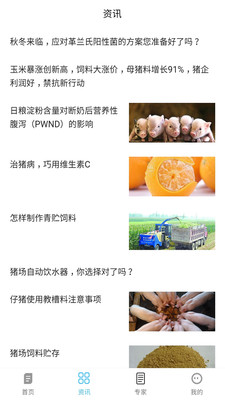 今鼎資訊