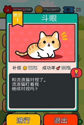 收養(yǎng)一只流浪的貓