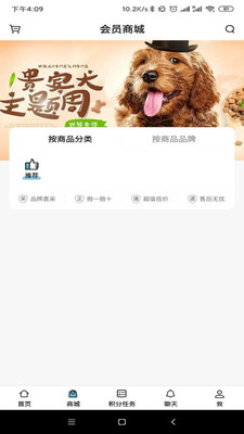 宠物社区