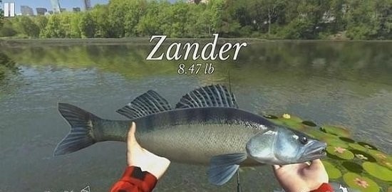 終極釣魚模擬器無限金幣版