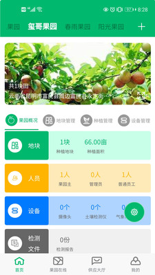 云上果園