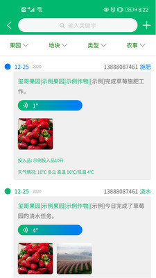 云上果園