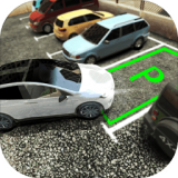 真實(shí)停車(chē)高手中文版