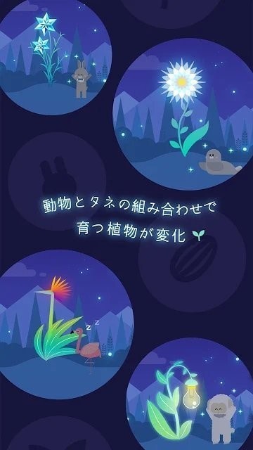 夜之森游戲