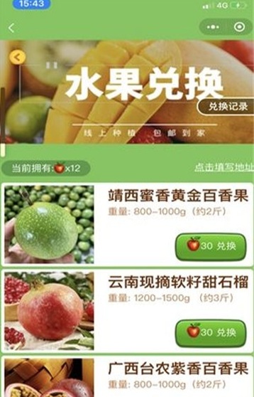 歡樂種果樹