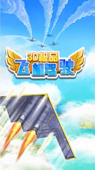 3D極品飛機駕駛
