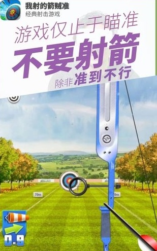 我射的箭賊準