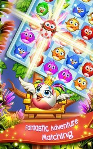 鳥(niǎo)流行狂