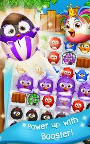 Birds Pop Mania漢化版