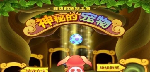 神秘的寵物