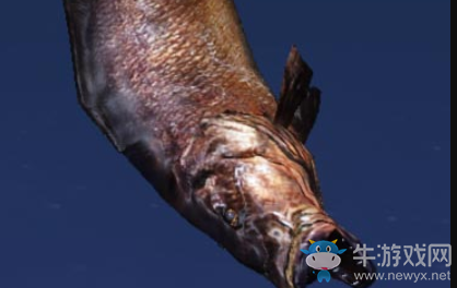 《妄想山?！纷霞t笛鯛獲取攻略