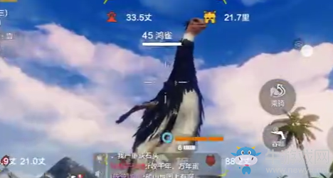 《妄想山海》異獸千年鴻雀介紹