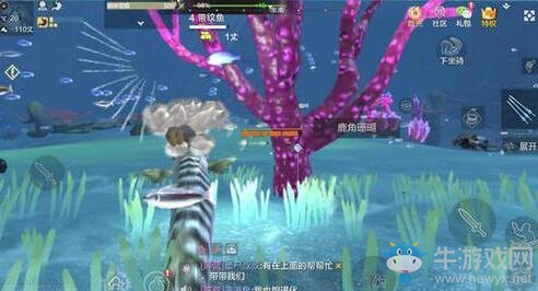 《妄想山海》錦鯉坐騎獲取方法