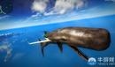 《正當防衛(wèi)2》新瘋狂玩法 鯨魚飛機橫跨太平洋