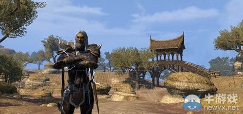 《上古卷軸OL》巫師build閃電賊游戲心得