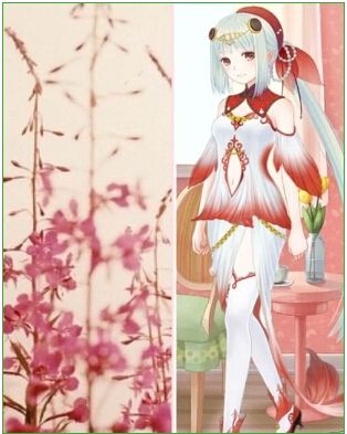 《暖暖環(huán)游世界》花兒主題裝搭配推薦